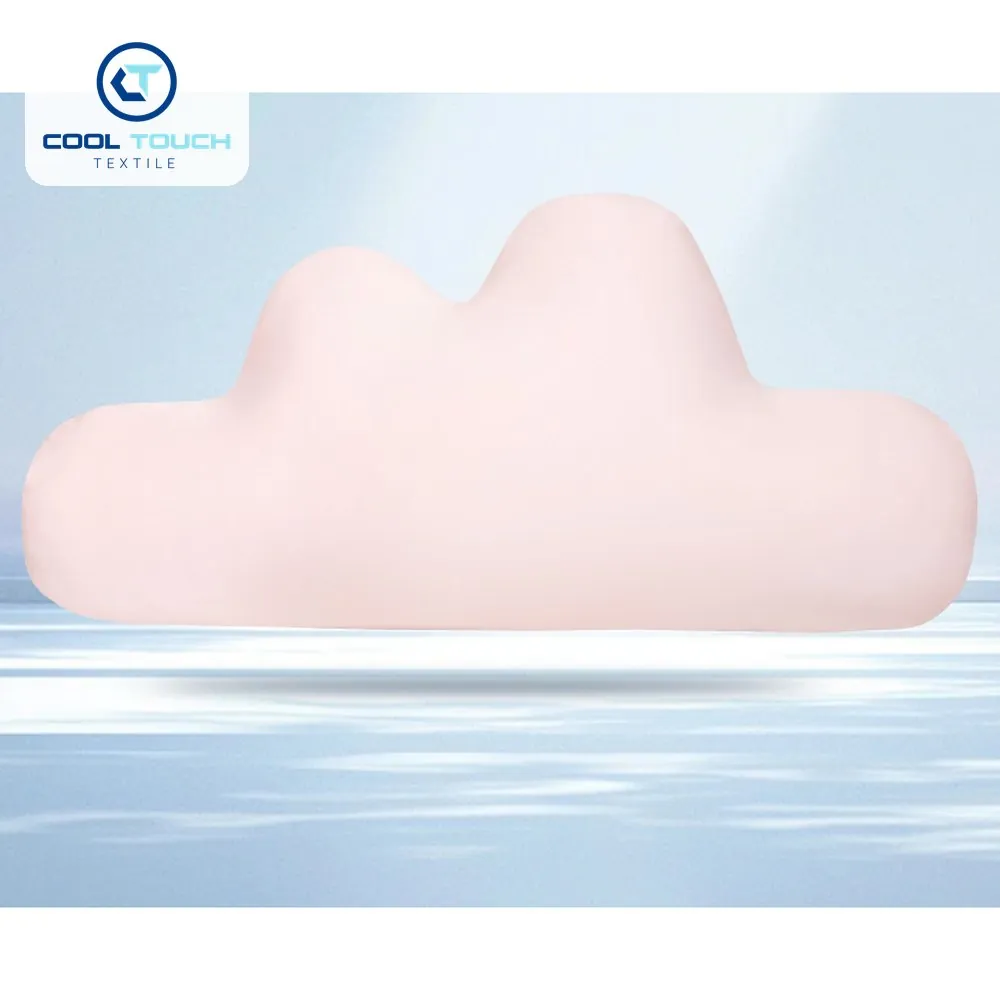 Cloud Ice-Silk Long Pillow 5