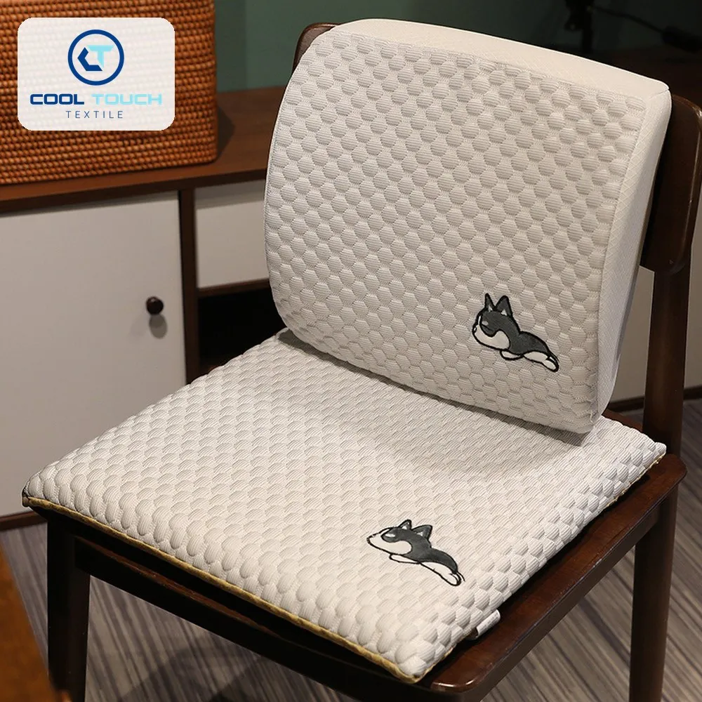 Ice-Bean Office Lumbar & Seat Cushion Set 6